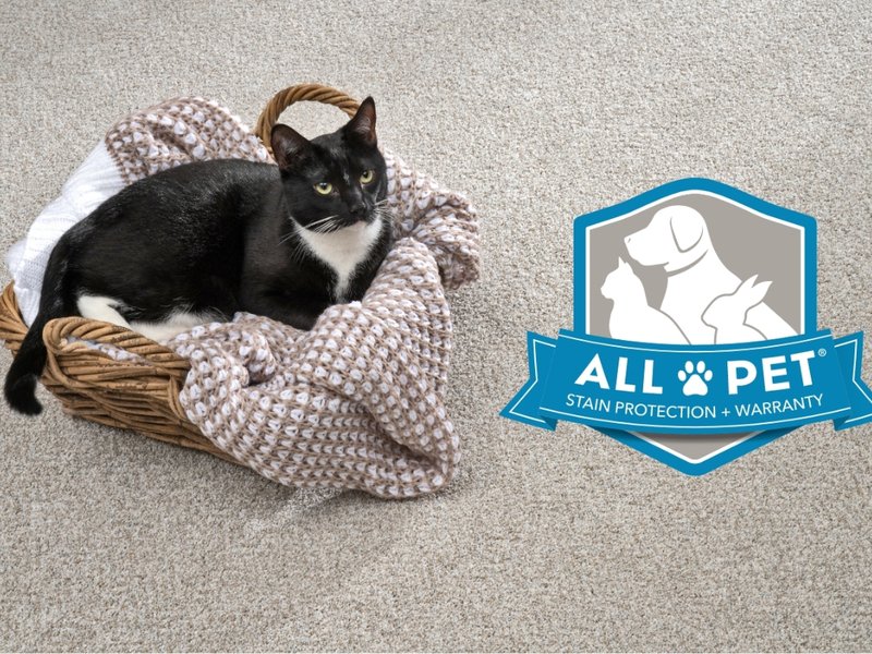 Tuxedo cat sitting in a basket on a pet friendly SmartStrand carpet floor
