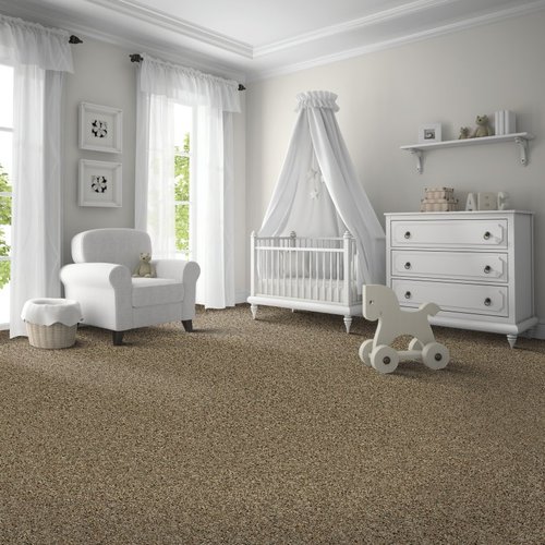 Floortech Corporation providing stain-resistant pet proof carpet in Greenwood and Franklin, IN - Exquisite Character